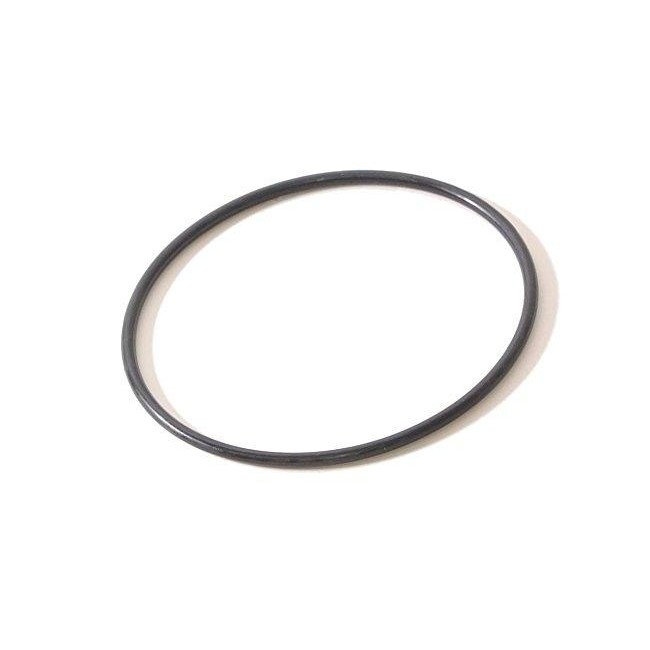 Anello per Coperchio Pompa Filtro Intex