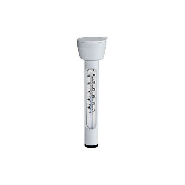 Termometro da Piscina Intex