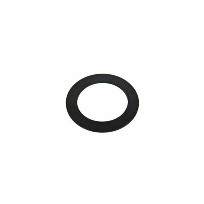 Guarnizione Anello Strainer per Pompa Filtro Intex