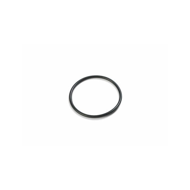 Guarnizione/Ring valvola Plunger Intex