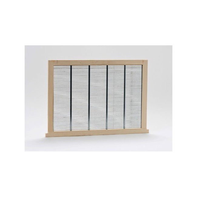 Escludi Regina Verticale