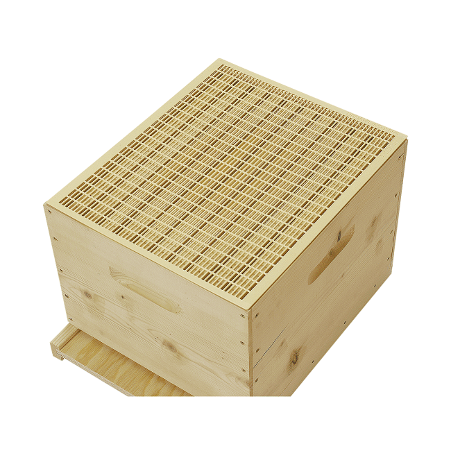 Escludi Regina in Plastica da 12 Favi