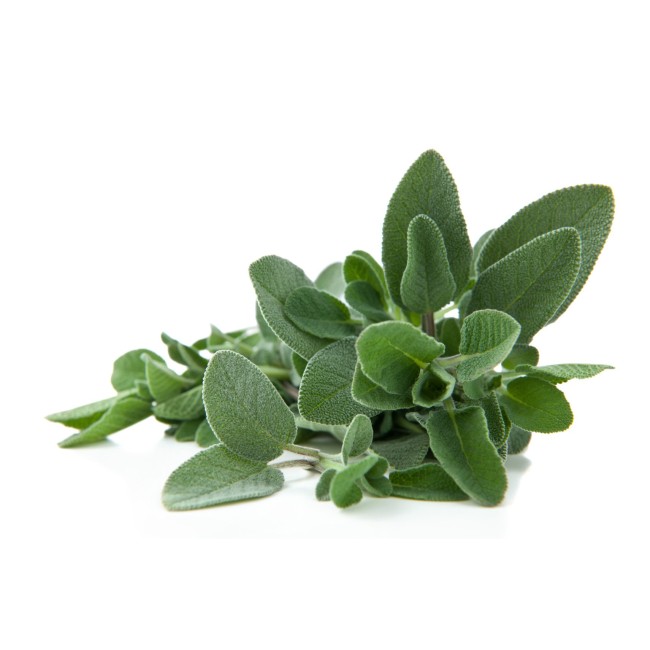 Semi di Salvia Semeurop