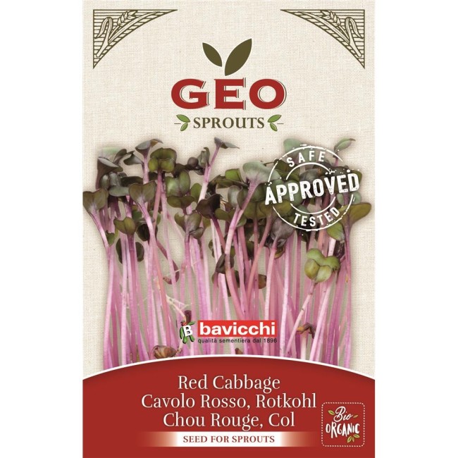 Germogli Di Cavolo Rosso Geo BAVICCHI