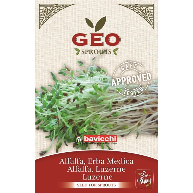 Germogli di Erba Medica Bio Geo Bavicchi