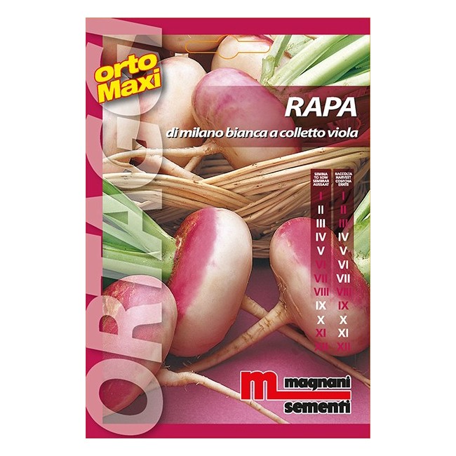 Busta Orto Maxi Rapa di Milano