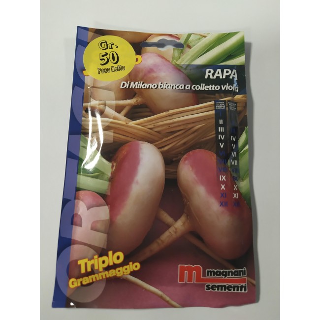 Rapa di Milano a Colletto Viola 50 gr