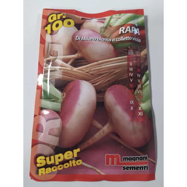 Rapa di Milano a Colletto Viola 100 gr