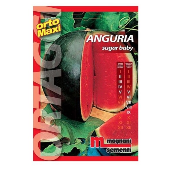 Semi Anguria Sugar Baby