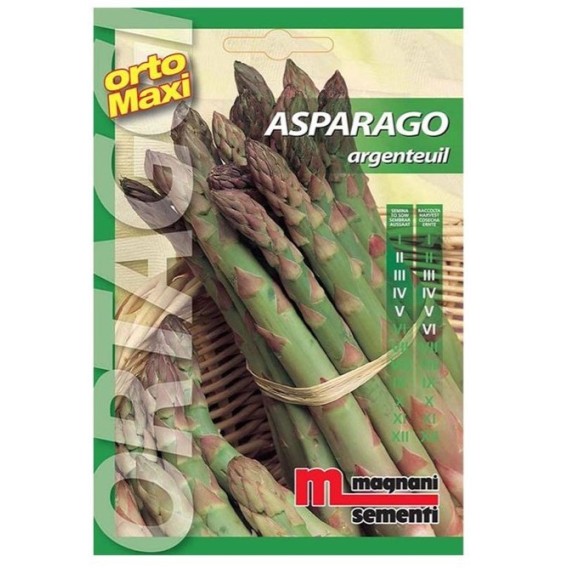 Semi di Asparago Argenteuil