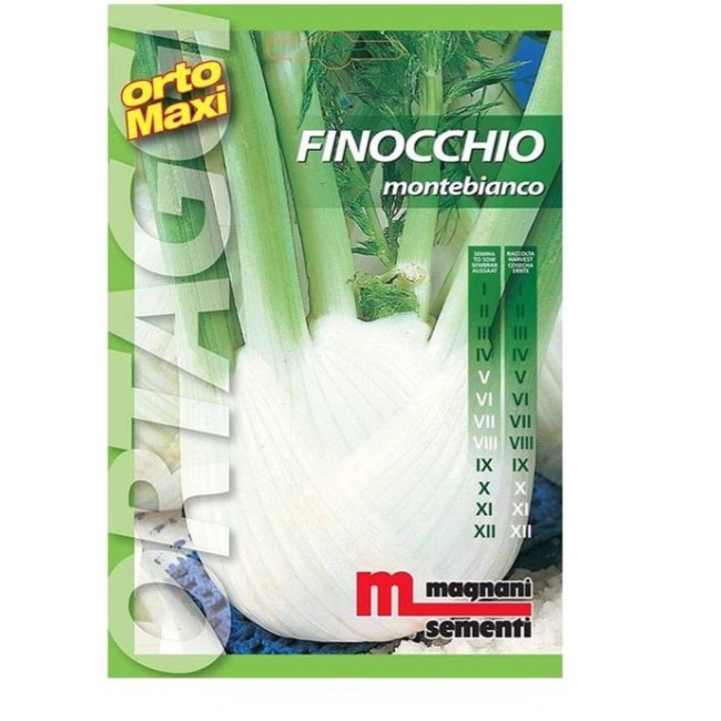 Semi di Finocchio Montebianco