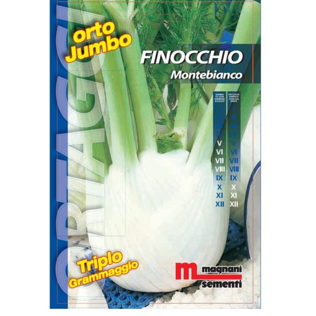 Semi di Finocchio Montebianco Orto Jumbo