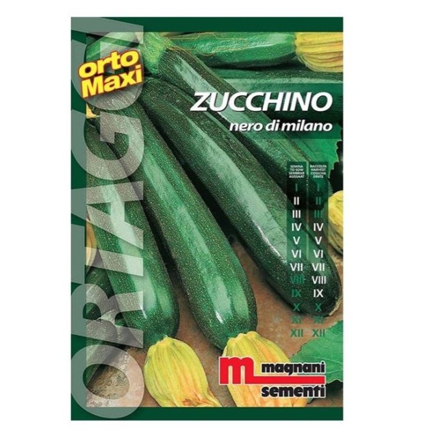 Semi di Zucchino Nero di Milano