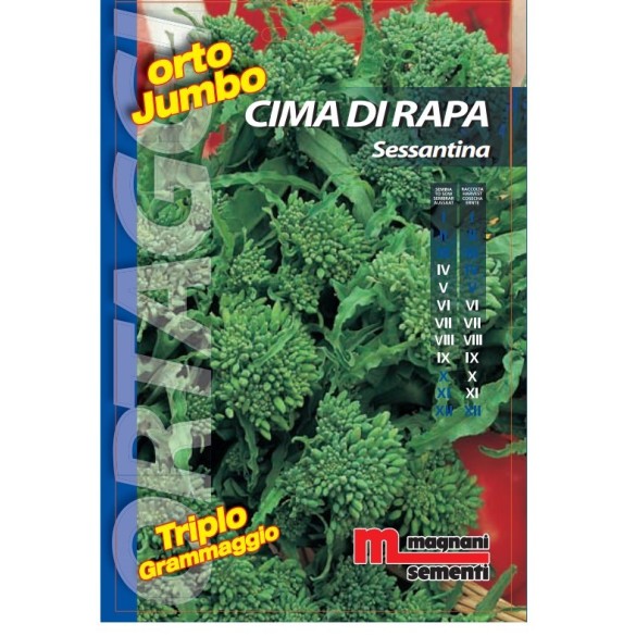 Semi di Cima di Rapa Sessantina Orto Jumbo