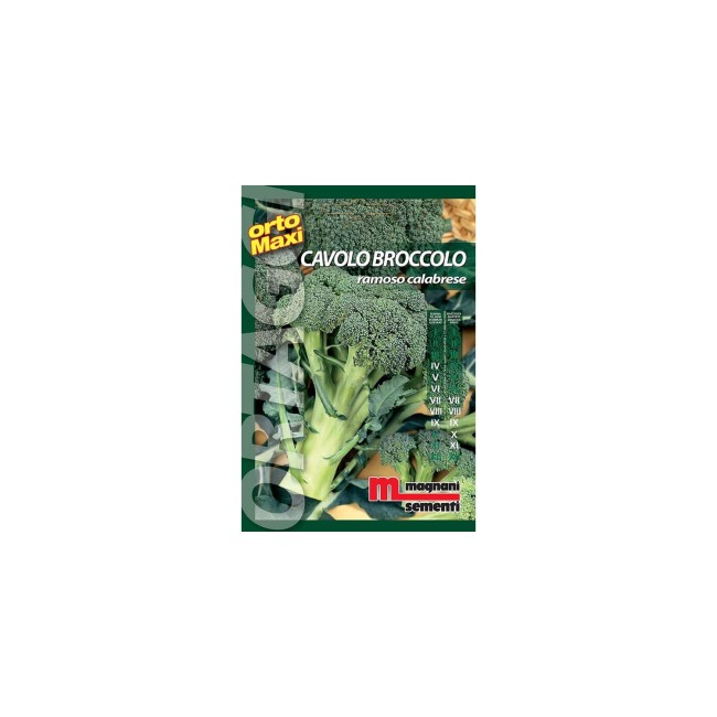 Semi di Cavolobroccolo ramoso