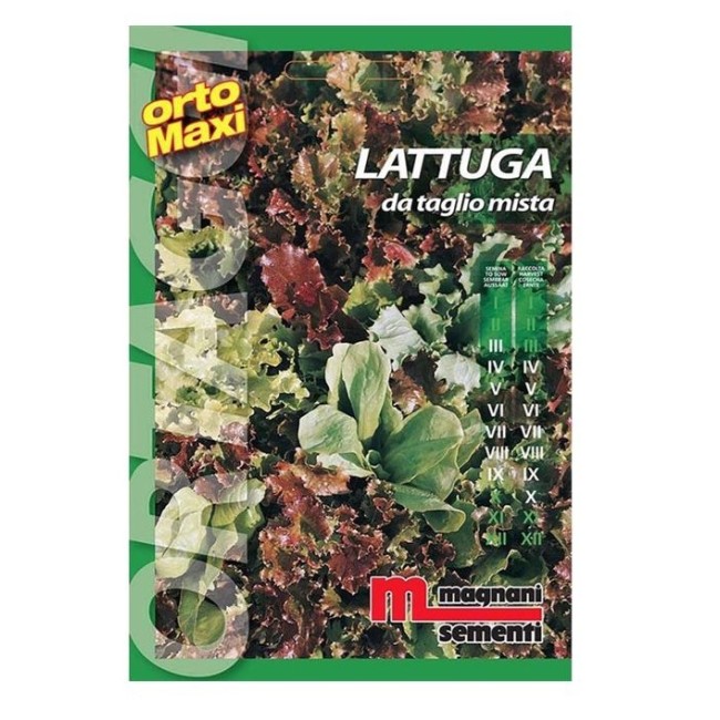Semi di Lattuga Mista