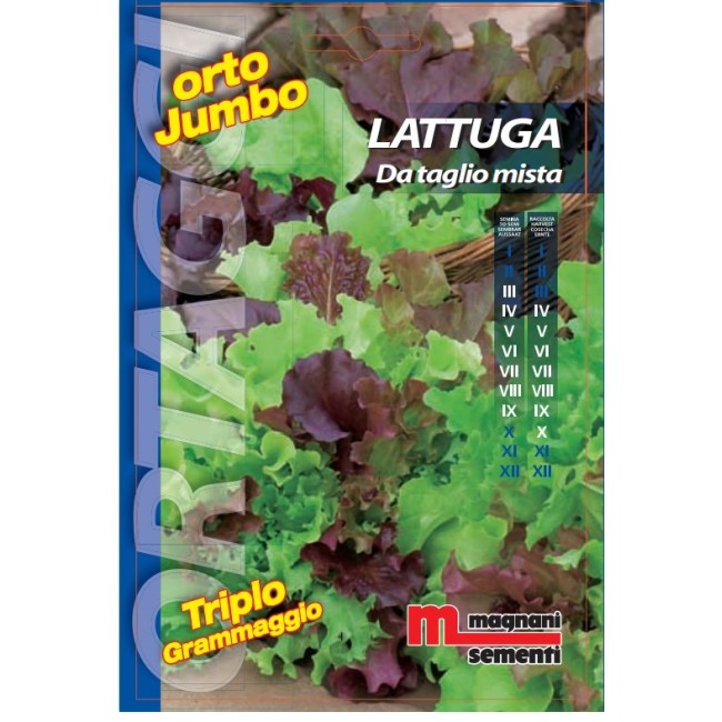 Semi di Lattuga Mista Orto Jumbo