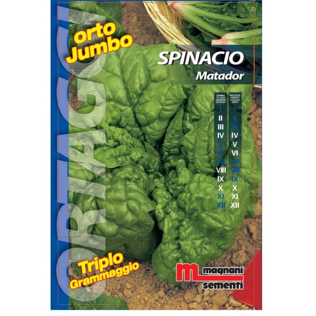 Semi di Spinacio Matador Orto Jumbo