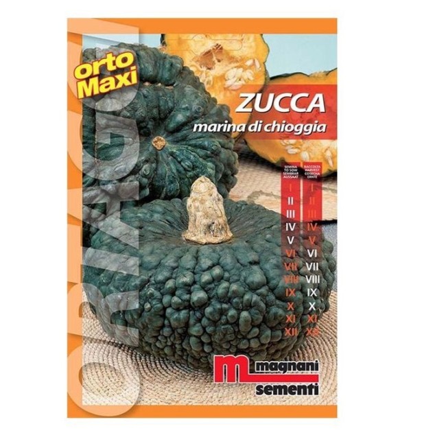 Semi di Zucca Marina di Chioggia