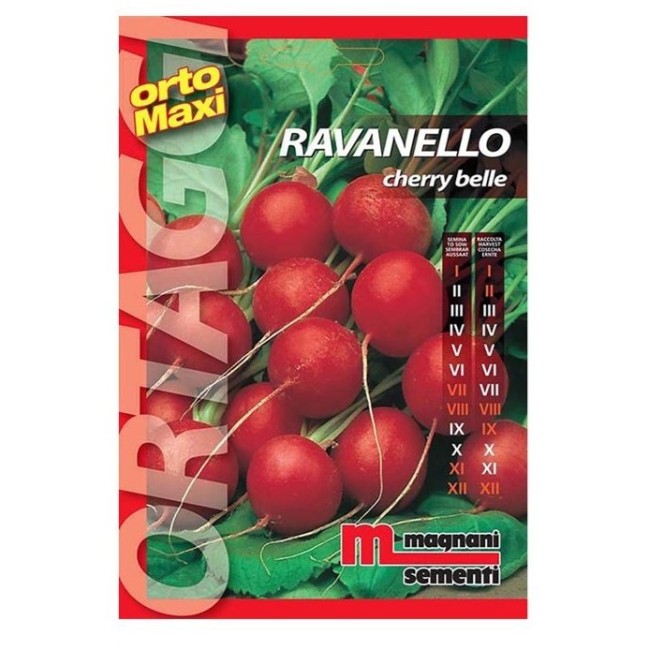 Semi di Ravanello Cherry Belle