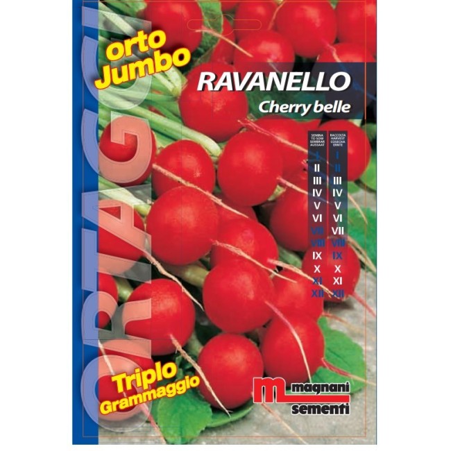 Semi di Ravanello Cherry Belle Orto Jumbo
