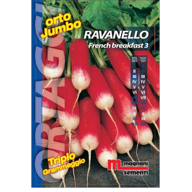Semi di Ravanello French Breakfast 3 Orto Jumbo