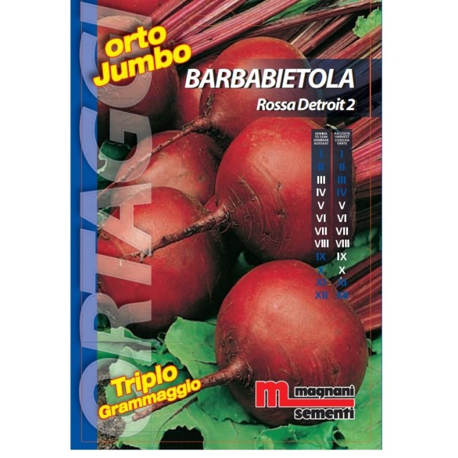 Semi di Barbabietola Rossa Detroit 2 Orto Jumbo