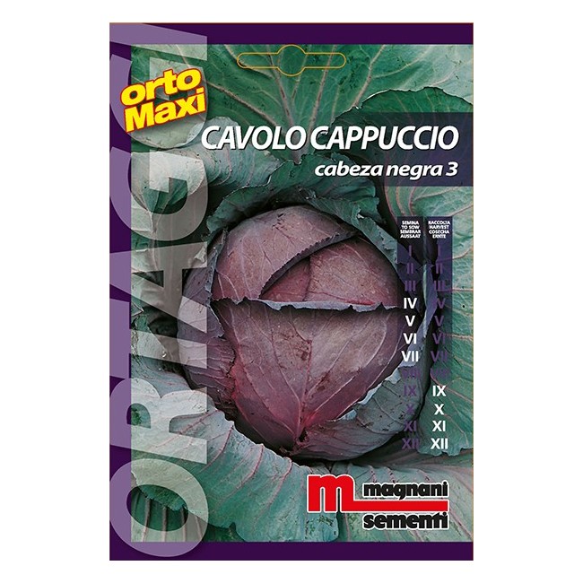 Semi di Cavolo Cabeza Negra