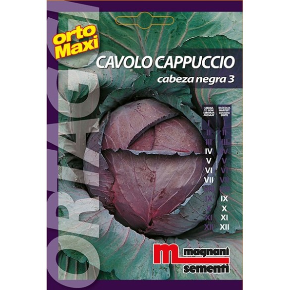 Semi di Cavolo Cabeza Negra