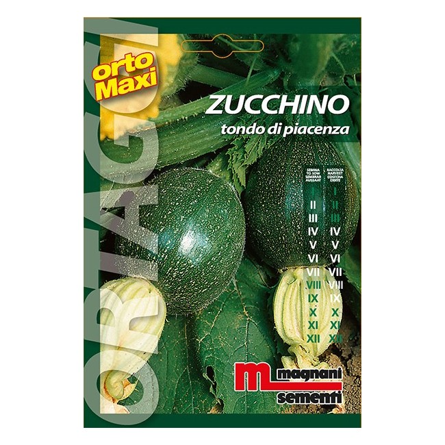 Semi di Zucchino Tondo di Piacenza