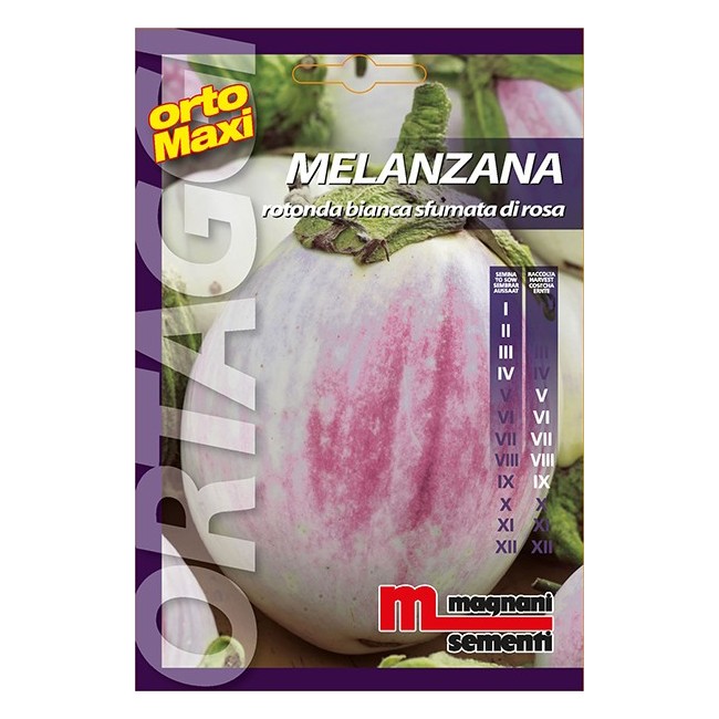 Semi di Melanzana Rotonda Bianca sfumata Rosa
