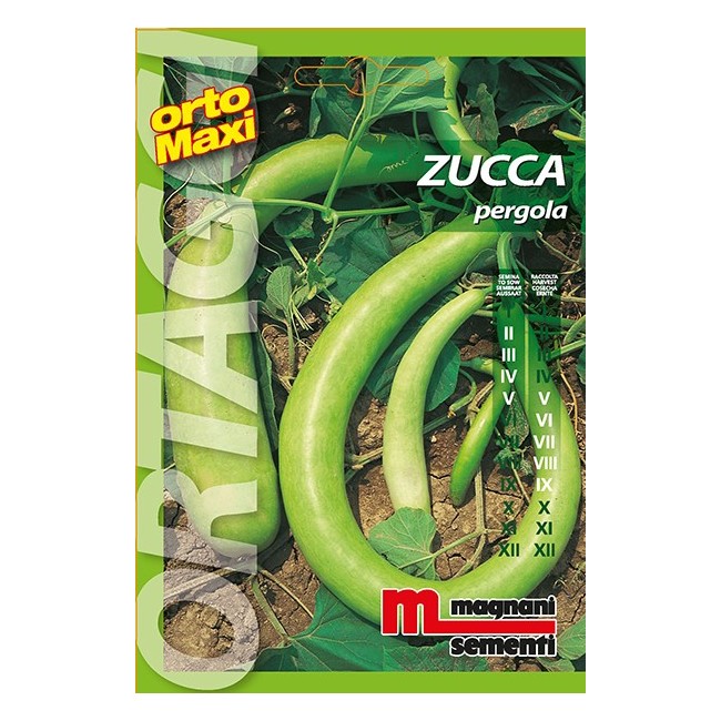Semi di Zucca Pergola