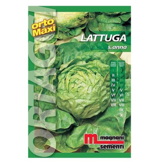 Semi Lattuga S. Anna