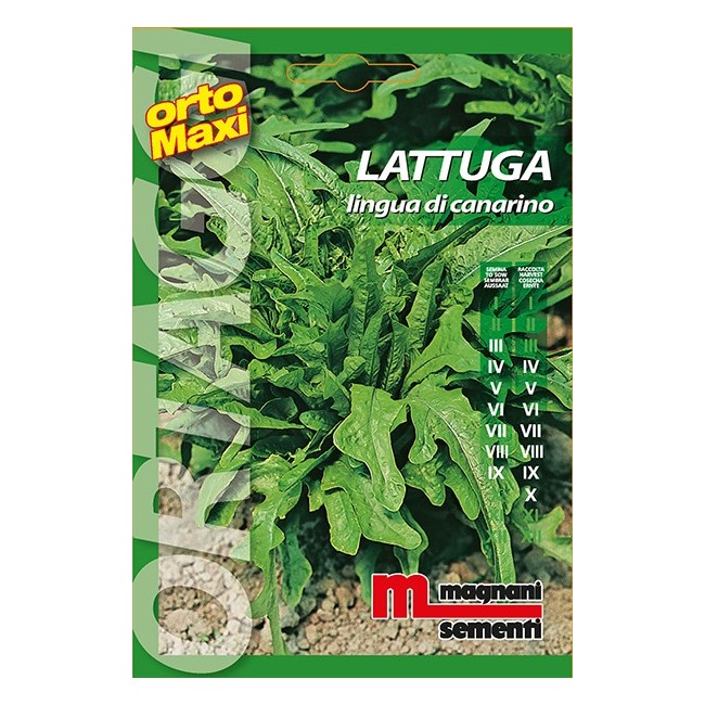 Semi di Lattuga Lingua di Canarino