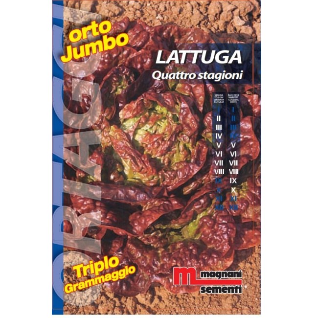 Semi di Lattuga Quattro Stagioni Orto Jumbo