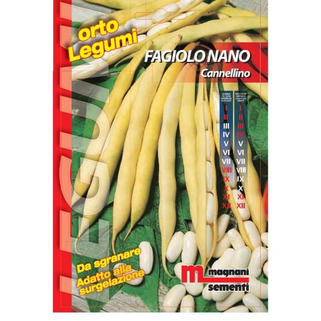 Semi di Fagiolo Cannellino