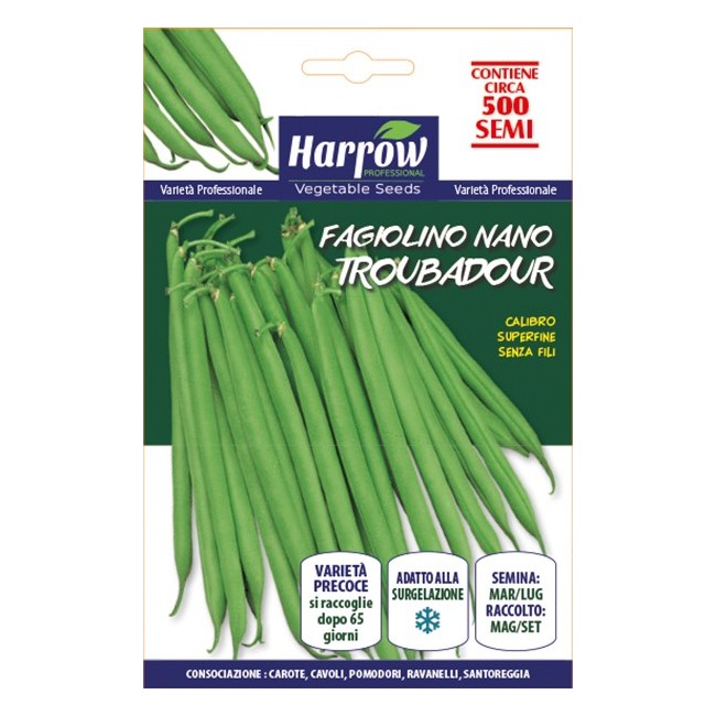 Semi di Fagiolo Nano Troubador