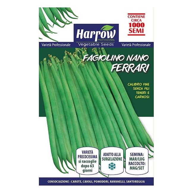 Semi di Fagiolo Nano Ferrari