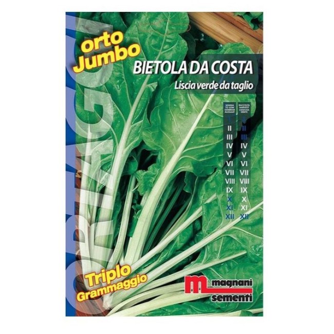 Semi di Bietola da Costa Liscia Verde da Taglio Orto Jumbo