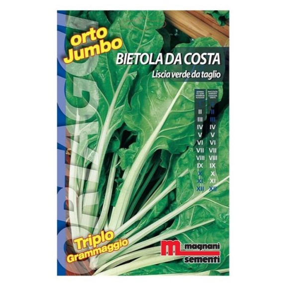 Semi di Bietola da Costa Liscia Verde da Taglio Orto Jumbo