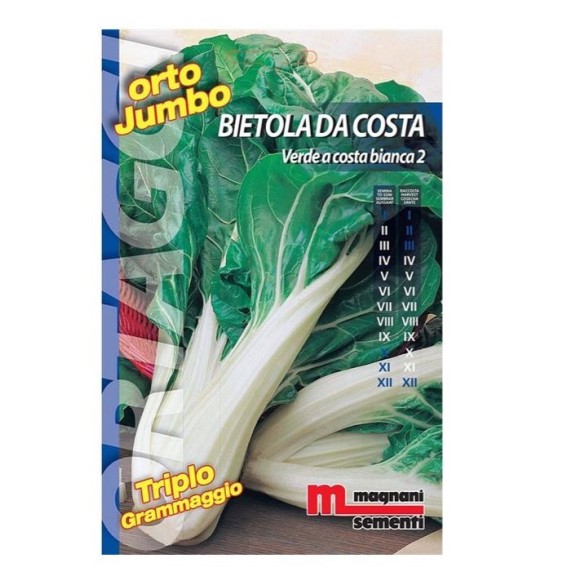 Semi di Bietola da Costa Verde a Costa Bianca Orto Jumbo