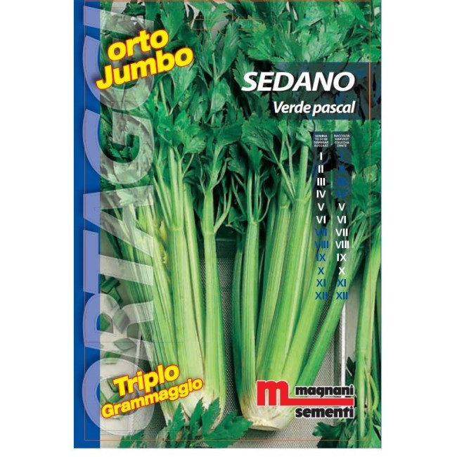 Semi di Sedano Verde Pascal Orto Jumbo