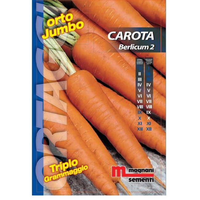 Semi di Carota Berlicum
