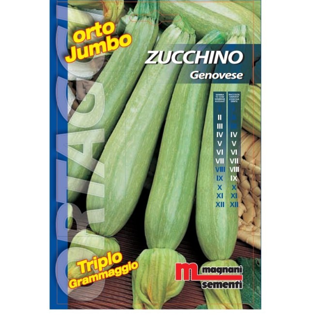 Semi di Zucchino Genovese Orto Jumbo