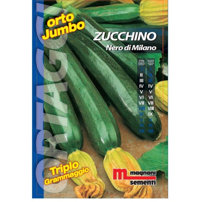 Semi di Zucchino Nero di Milano Orto Jumbo