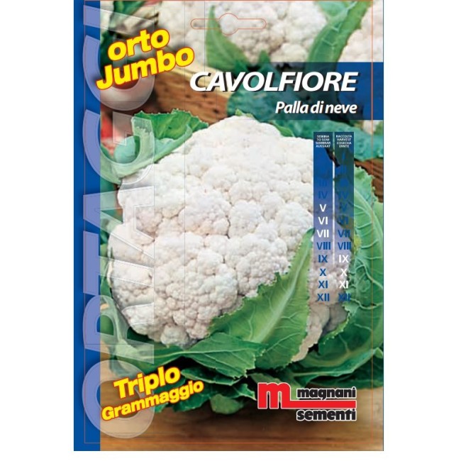 Semi di Cavolfiore Palla di Neve Orto Jumbo