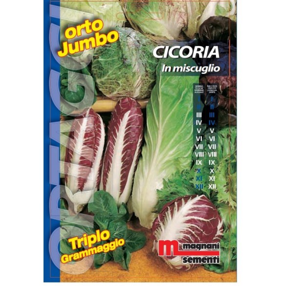 Semi di Cicoria In Miscuglio Orto Jumbo