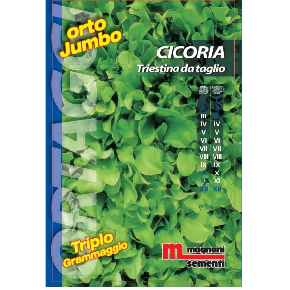 Semi di Cicoria Triestina da Taglio Orto Jumbo
