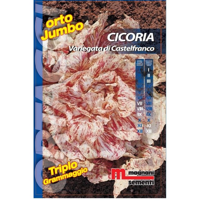 Semi di Cicoria Variegata di Castelfranco Orto Jumbo