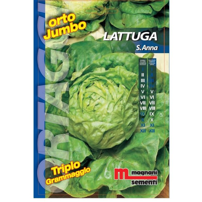 Semi Lattuga S. Anna Orto Jumbo